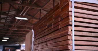 PT. Karya Mina Putra : Various Wood Products